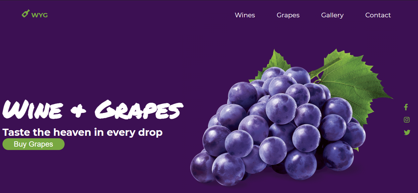 imagen del cuarto proyecto, wine + grapes